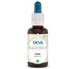 Houx (Holly - N°15)